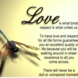 Love quotes 4k wallpaper