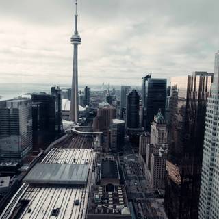 Toronto City 4k wallpaper