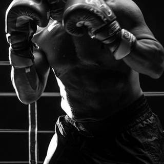 Mike Tyson iPhone wallpaper