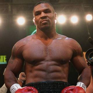 Mike Tyson PC wallpaper