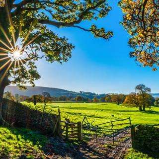 4k ultrawide nature wallpaper