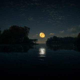 Dark nature 4k PC wallpaper