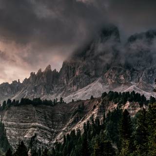 Dark nature 4k PC wallpaper