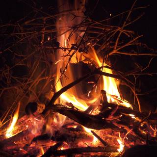 4k campfire wallpaper