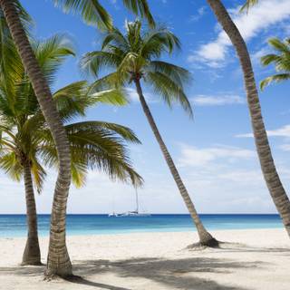 Caribbean 4k wallpaper