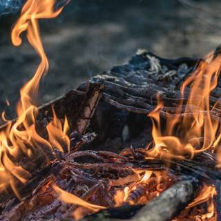 4k campfire wallpaper