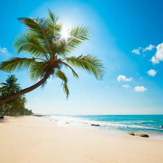 Caribbean 4k wallpaper