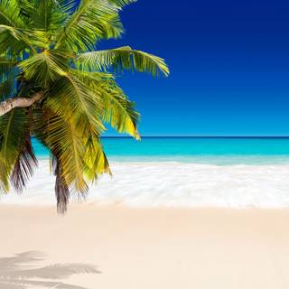 Caribbean 4k wallpaper