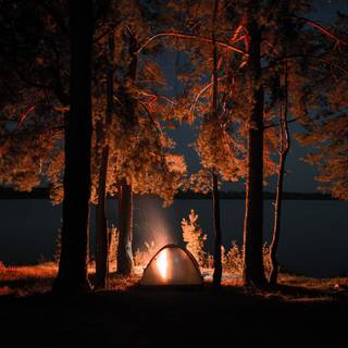 4k campfire wallpaper