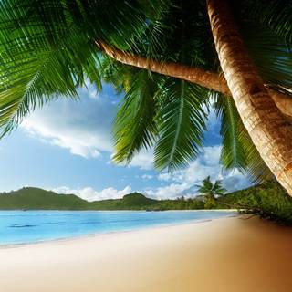 Caribbean 4k wallpaper