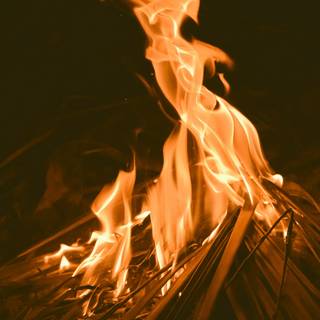 4k campfire wallpaper