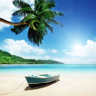 Caribbean 4k wallpaper