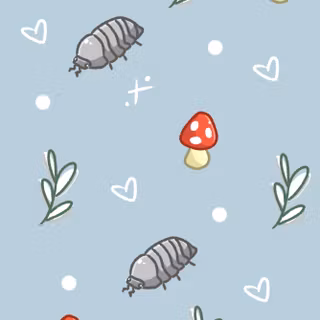 Isopod wallpaper
