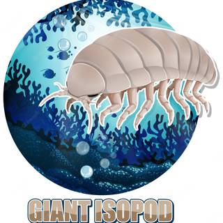 Isopod wallpaper
