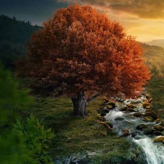 Fantasy autumn fall wallpaper