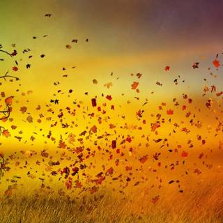 Fantasy autumn fall wallpaper