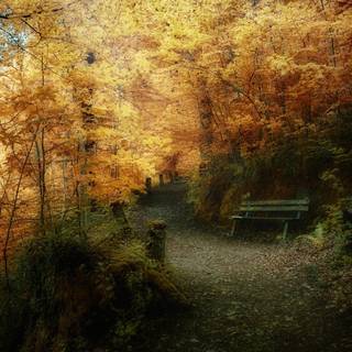 Fantasy autumn fall wallpaper