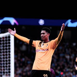 Bellingham 4k iPhone wallpaper