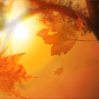 Fantasy autumn fall wallpaper