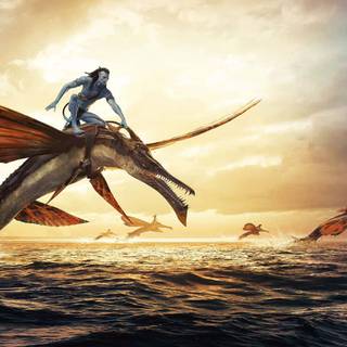 Avatar Kiri wallpaper