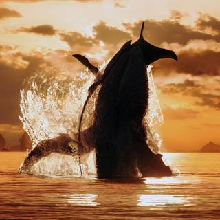 Avatar The Way of Water 4k wallpaper