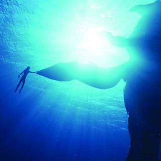 Avatar The Way of Water 4k wallpaper