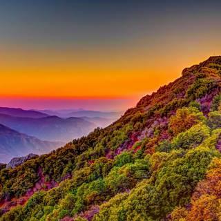 National Parks 4k wallpaper