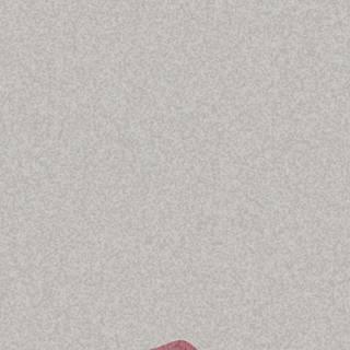 Mushroom frogs wallpaper