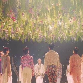 Aesthetic Seventeen desktop wallpaper