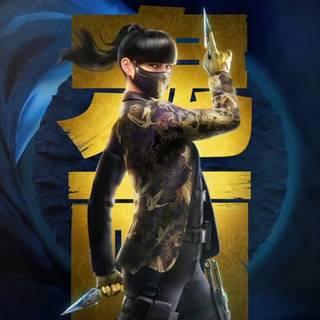 R6 computer wallpaper