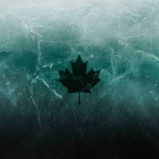 R6 computer wallpaper