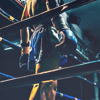 iPhone boxing wallpaper