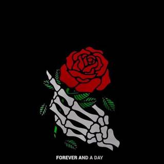 Single forever wallpaper