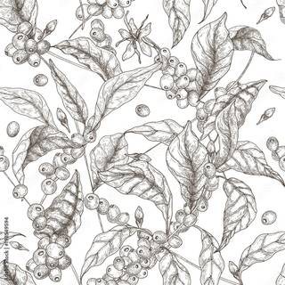 Coffee plant wallpaper