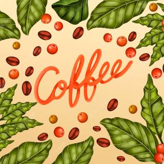 Coffee plant wallpaper