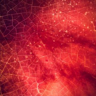 Gaming texture wallpaper