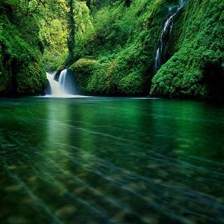 iPad nature wallpaper