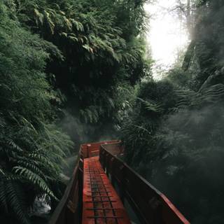 iPad nature wallpaper