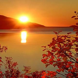 Fall sunset iPhone wallpaper