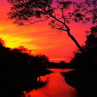 Fall sunset iPhone wallpaper