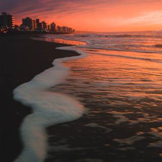 Fall sunset iPhone wallpaper