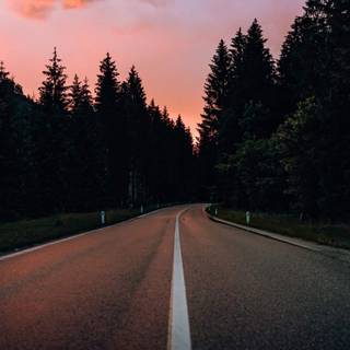 Fall sunset iPhone wallpaper