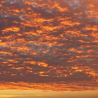 Fall sunset iPhone wallpaper