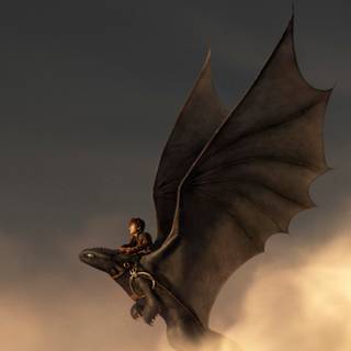 Toothless and Hiccup wallpaper