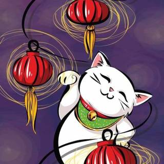 Chinese cat wallpaper