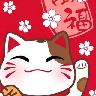 Chinese cat wallpaper