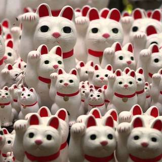 Chinese cat wallpaper