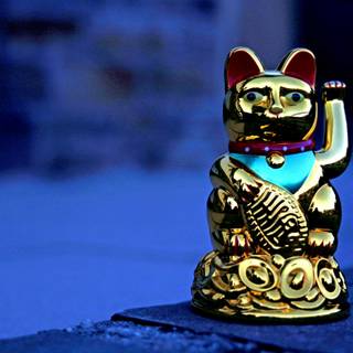 Chinese cat wallpaper