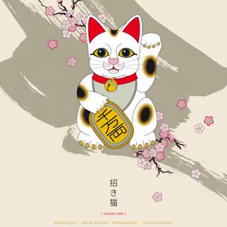 Chinese cat wallpaper