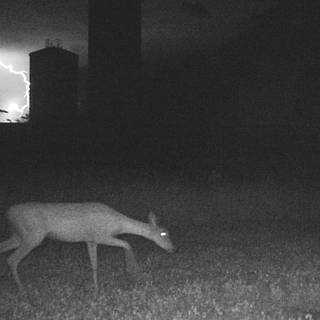 Echo Storm wallpaper